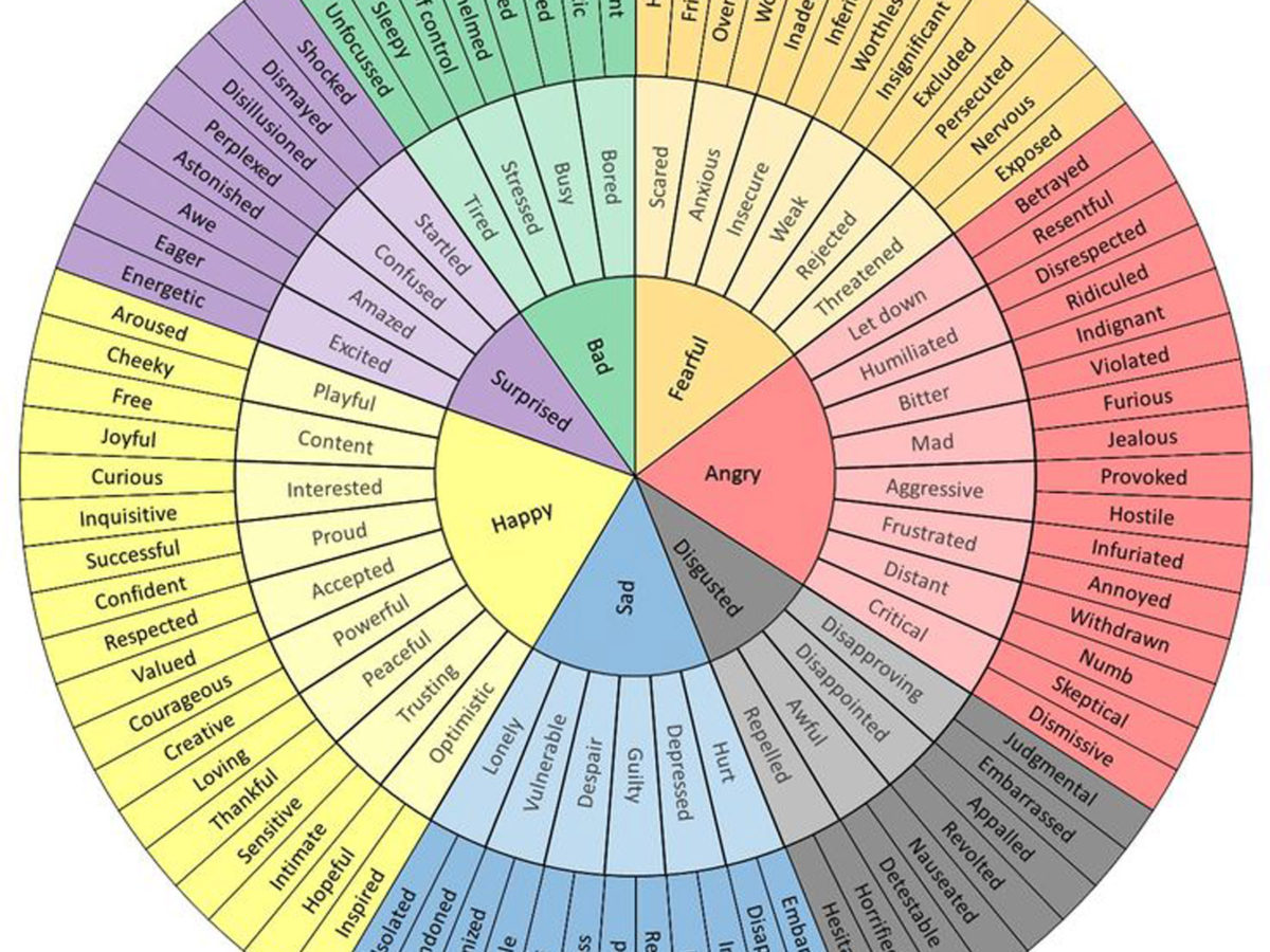 emotion wheel